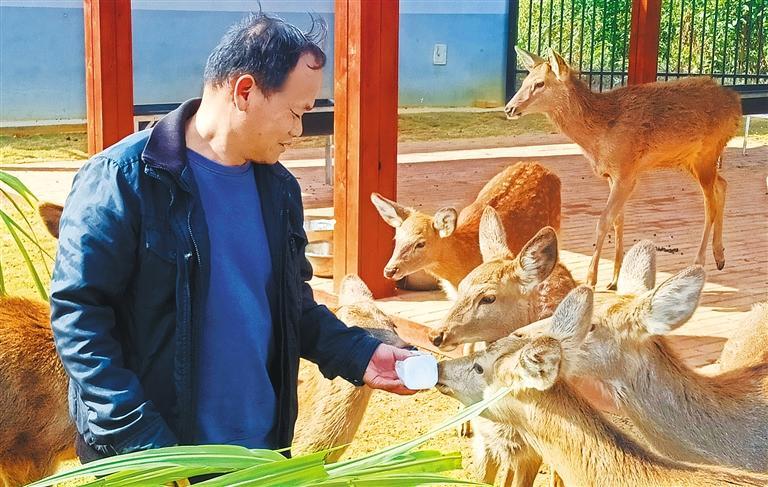 质量发展产业调研】林下生金不朽情缘游戏网